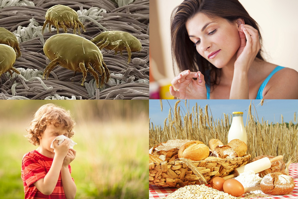 Types of Allergens - Asac Pharmaceutical Immunology